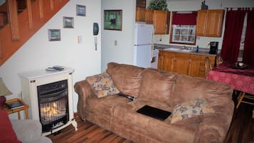 TV, fireplace, DVD player, books