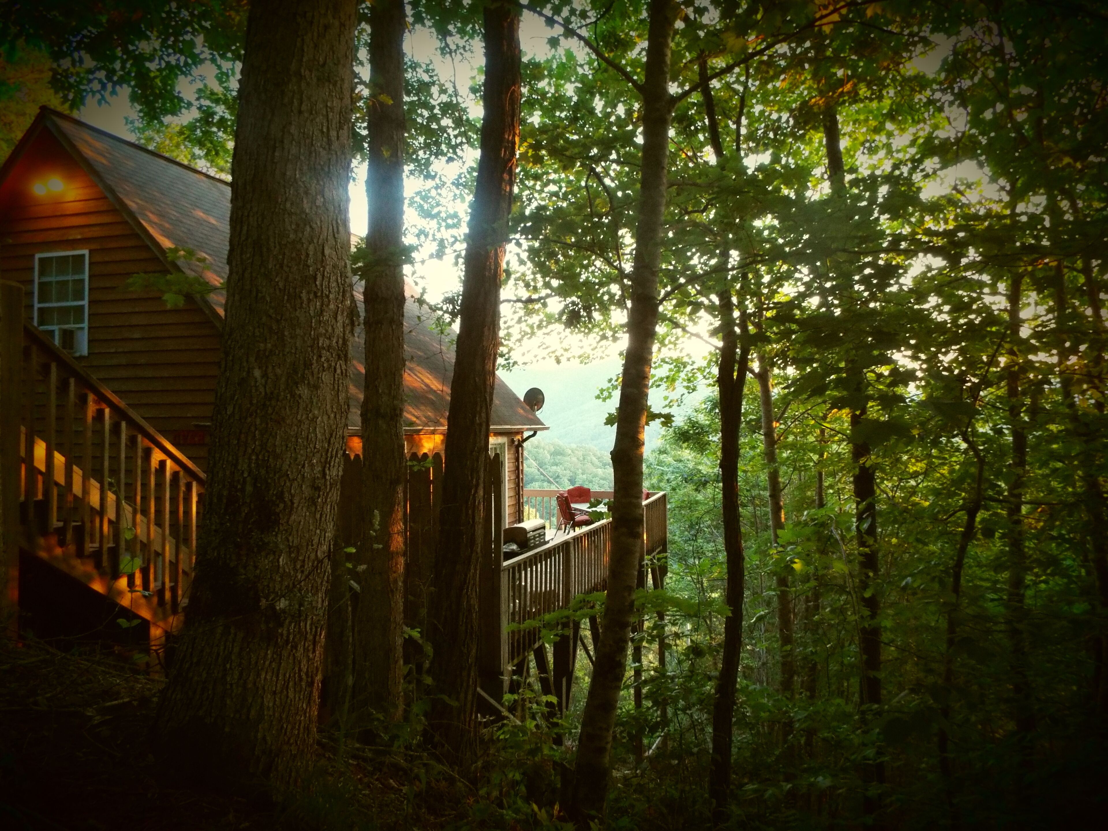Eine Holzhütte mit einer Terrasse, umgeben von hohen Bäumen und einer bewaldeten Landschaft.