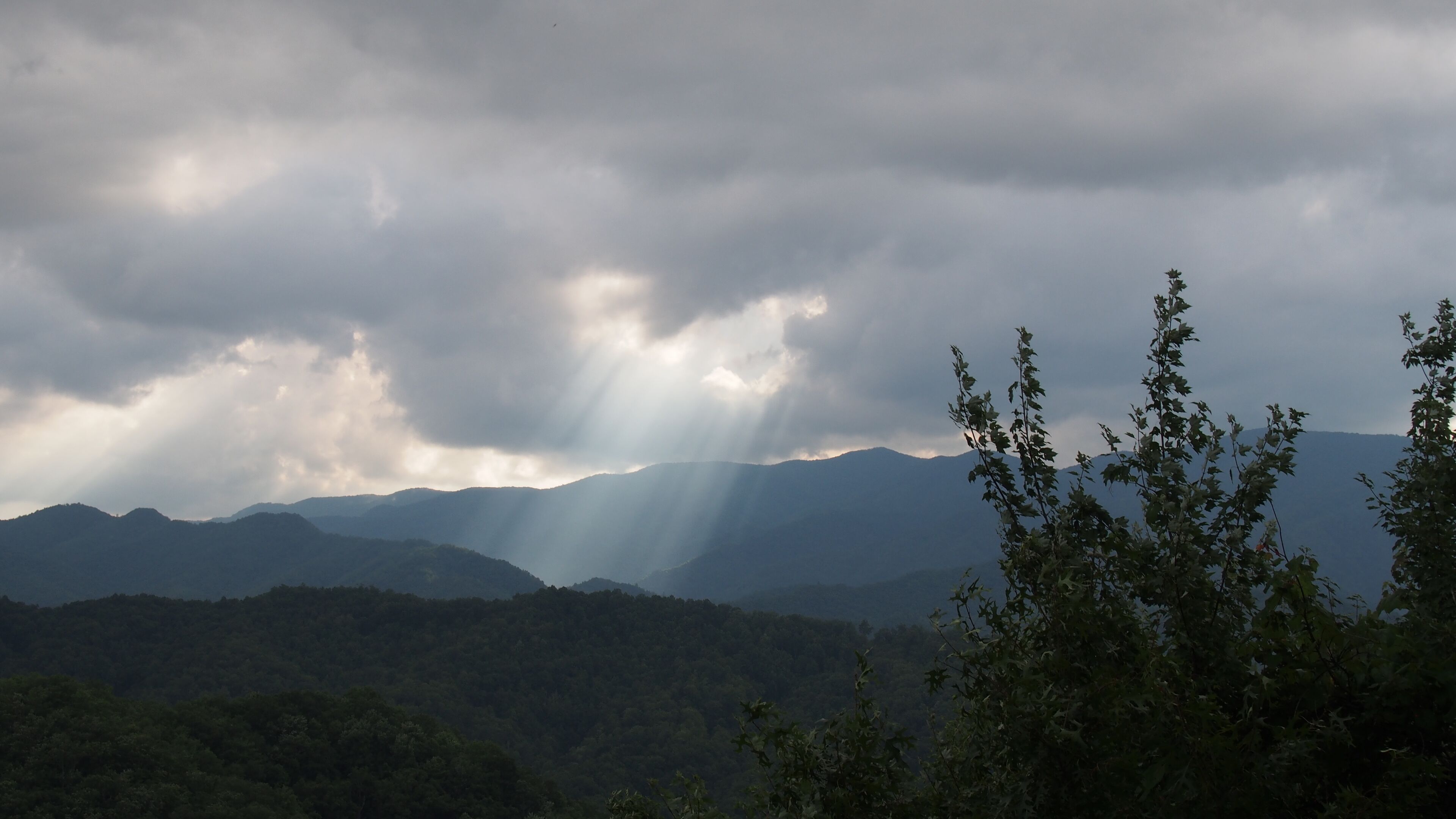 A mountainous landscape with dense forest and sunlight filtering through clouds.