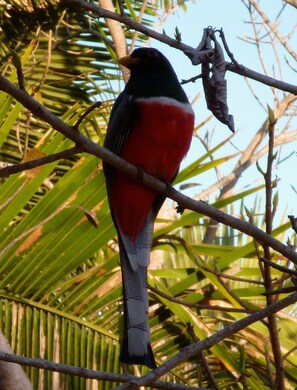 Terrain de l’hébergement 