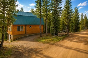 Une cabane avec un toit végétalisé, des murs en bois et une allée en terre, le tout entouré de grands pins.
