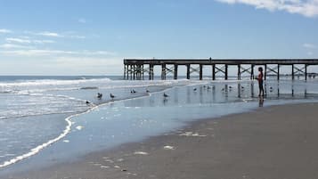 On the beach