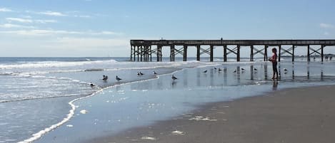 On the beach