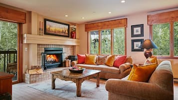 Smart TV, chimenea, libros, estéreo