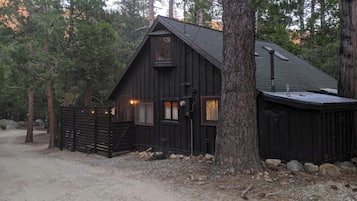 Ulkopuoli