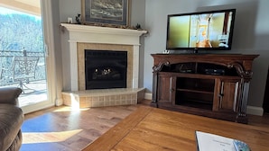 LCD TV, fireplace, DVD player, books