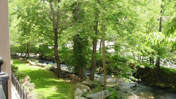 A serene outdoor area with a stream, surrounded by lush greenery and trees.