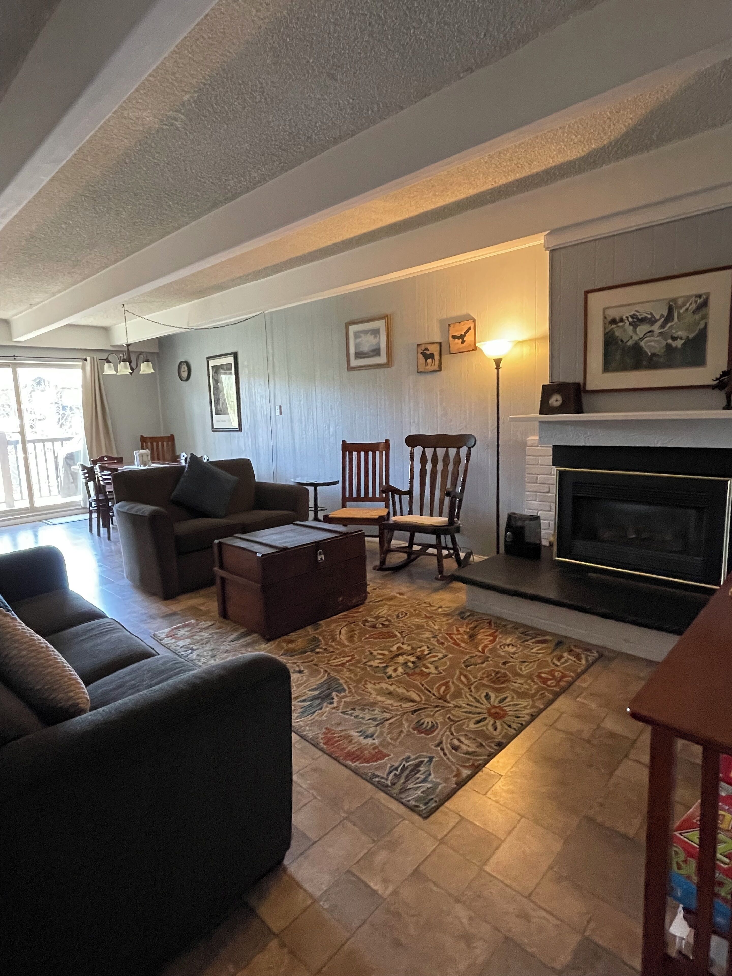 Smart TV, fireplace, books, music library