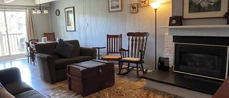 Smart TV, fireplace, books, music library