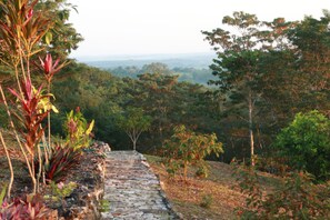 Terrain de l’hébergement 