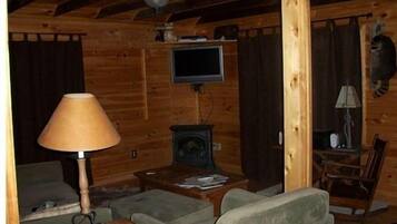 Télévision, cheminée, lecteur de DVD, chaßne hi-fi