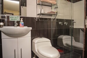 Shower, hair dryer, towels
