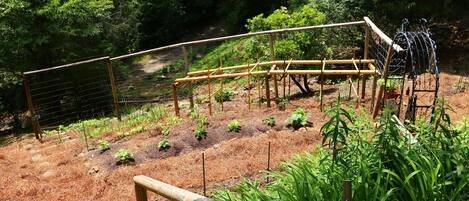 Un jardín con valla de madera, una estructura espiral metálica y diversas plantas.