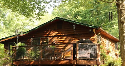 Escapade à la montagne pour les couples! 27 kilomÚtres de Asheville, Animaux acceptés, bain à remous
