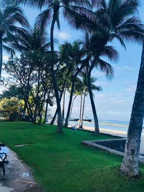 Property grounds - Studio - Ocean & Mtn Views top floor of Closest condo to Beach in Waikiki (Honolulu)