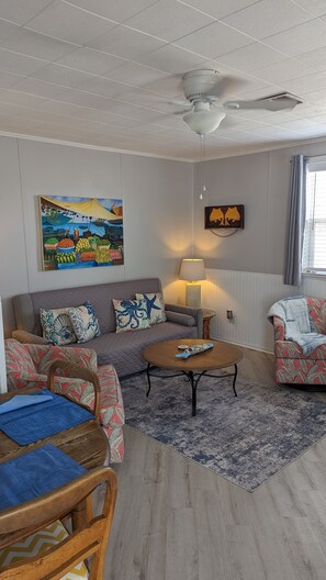 Smart TV, DVD player, books