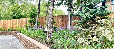 Jardines del alojamiento