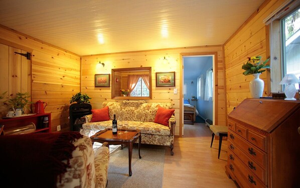 Televisor, llar de foc, reproductor de DVD i llibres 