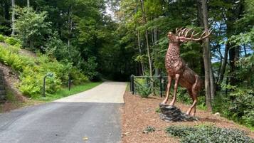 Overnatningsstedets område