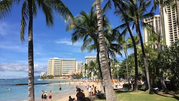 Playa en los alrededores, camastros y toallas de playa