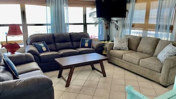 Smart TV, DVD player, books, video library