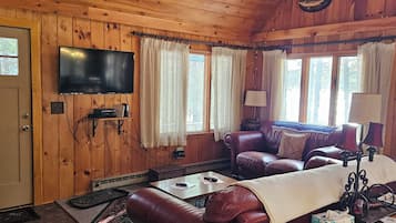 Smart TV, fireplace, DVD player, books