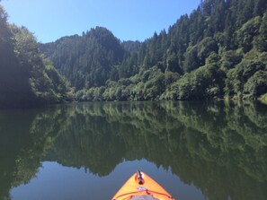 A calm lake with dense forest on the opposite shore. - Fish, hunt or relax - Riverfront Cozy 2bd Cabin on Umpqua River fenced 1.5 acres (Scottsburg)