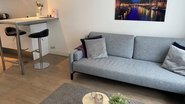 Een moderne woonkamer met een grijze bank, twee zwarte barkrukken, een klein rond tafeltje met een plant en een stadsgezichtschilderij aan de muur.