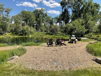 Trout Fishing Paradise, 10 acres, large yard, creek, private but close to town