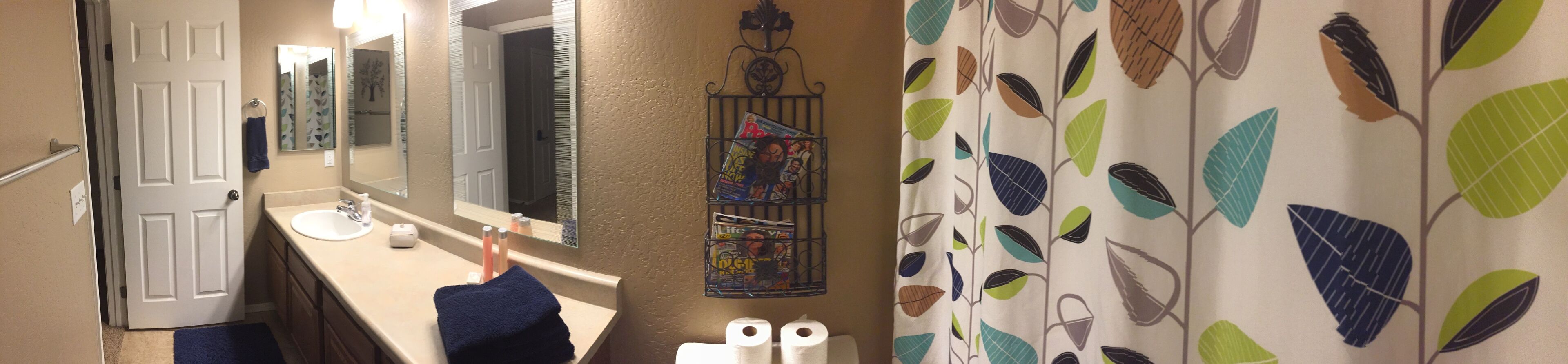 A bathroom with a sink, mirror, and toilet paper.