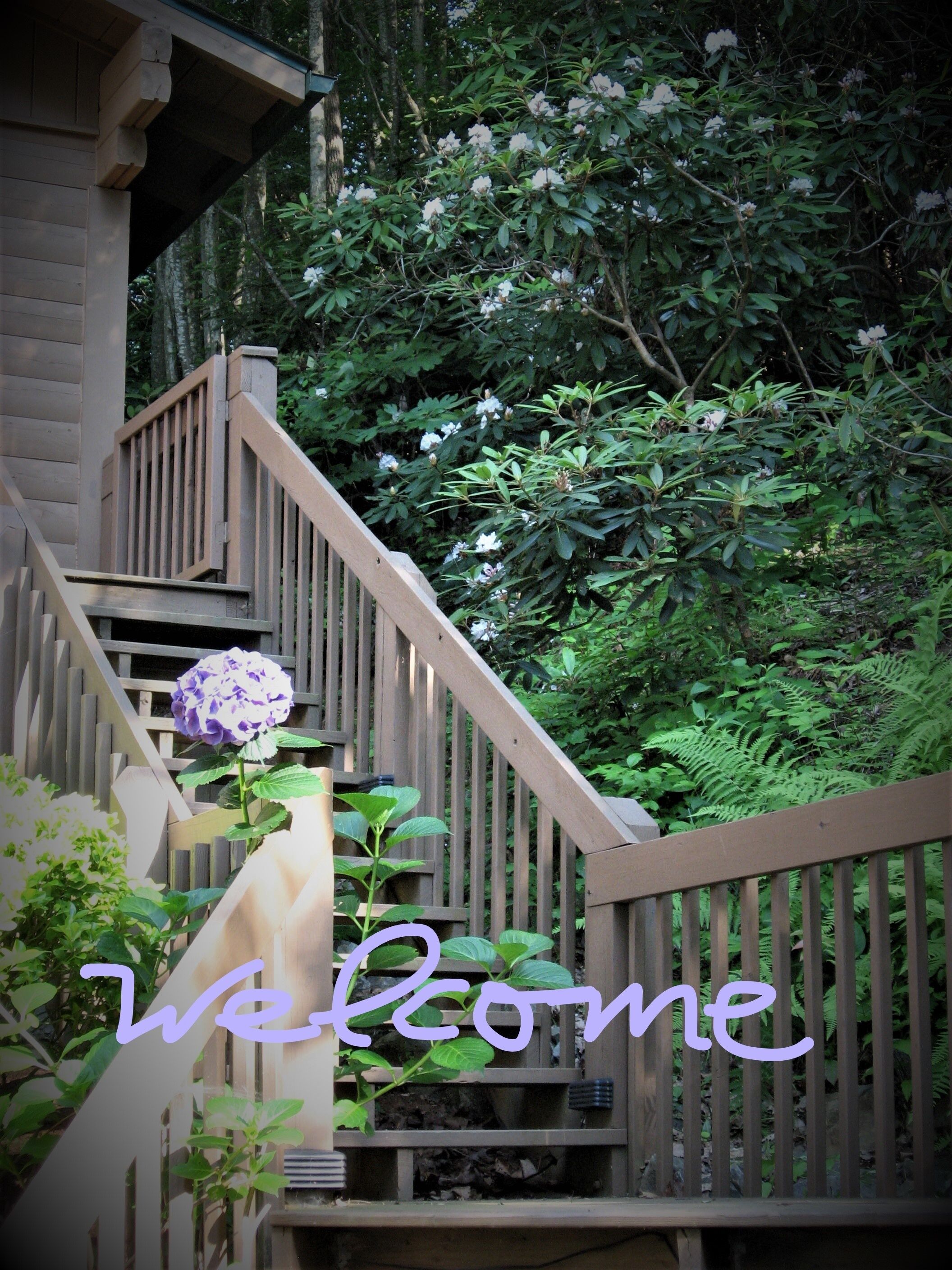 Una escalera de madera que sube hacia un edificio con un cartel que dice 'Welcome'.