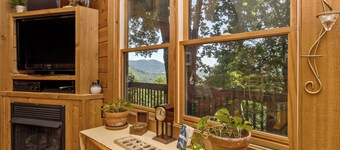 Top of the Line Asheville Mountain Cabin