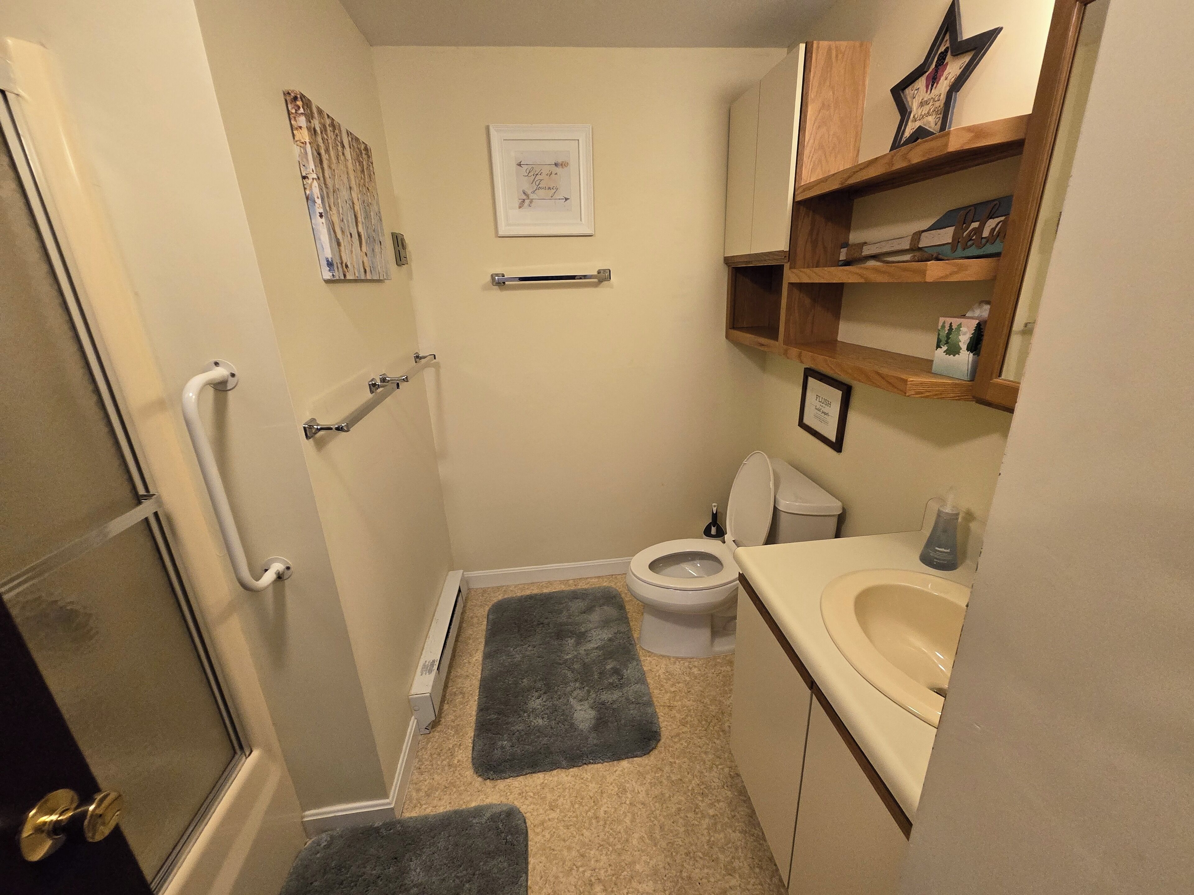 A small bathroom with a toilet, sink, and a shower area. There are grab bars installed near the toilet and a small rug on the floor.
