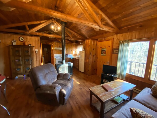 TV, fireplace, DVD player, books - Secluded Mountain Cabin, Lakefront, Hiking, Fishing, Relaxing (Syria)