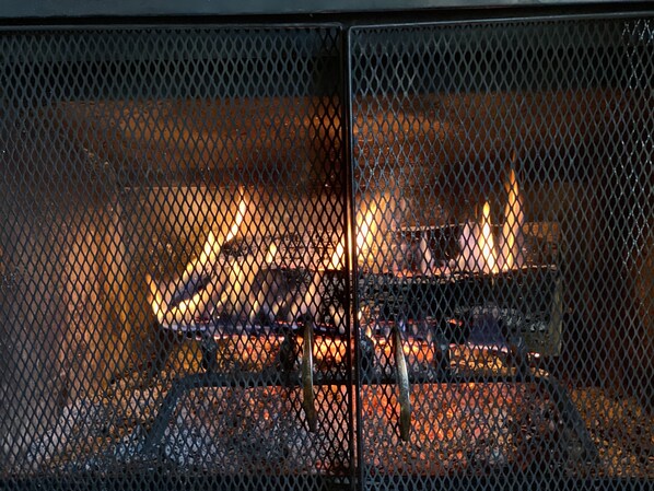 A fireplace with a metal screen, burning logs, and a visible fire.