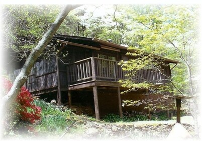 Secluded Mountain Cabin, Lakefront, Hiking, Fishing, Relaxing
