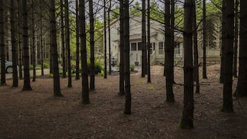 Enceinte de lâhĂ©bergement