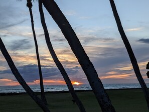 Beach/ocean view