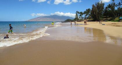 Beautiful 2 bdrm by Charley Young Beach. Walk to Kihei Downtown. From 99/night!
