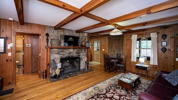 TV, lareira, DVD player, livros