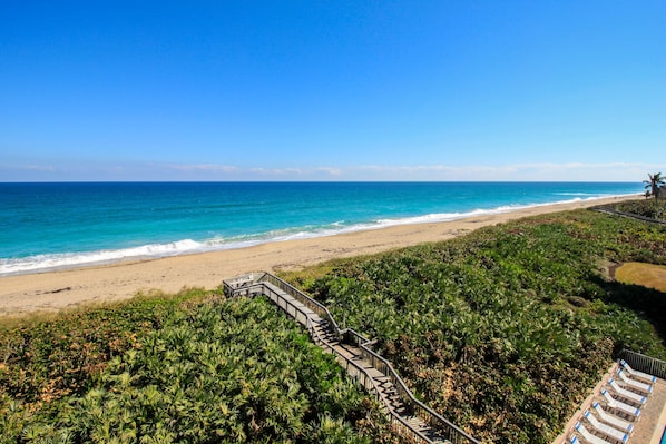 Una playa con un paseo de madera que conduce a un área de piscina rodeada de abundante vegetación.