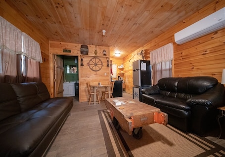 Smart TV, DVD player, stereo. Cozy Cabin near the Pisgah National Forest and DuPont State Forest in Brevard.