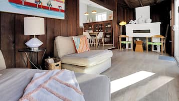 TV connectée, cheminée, lecteur de DVD, livres