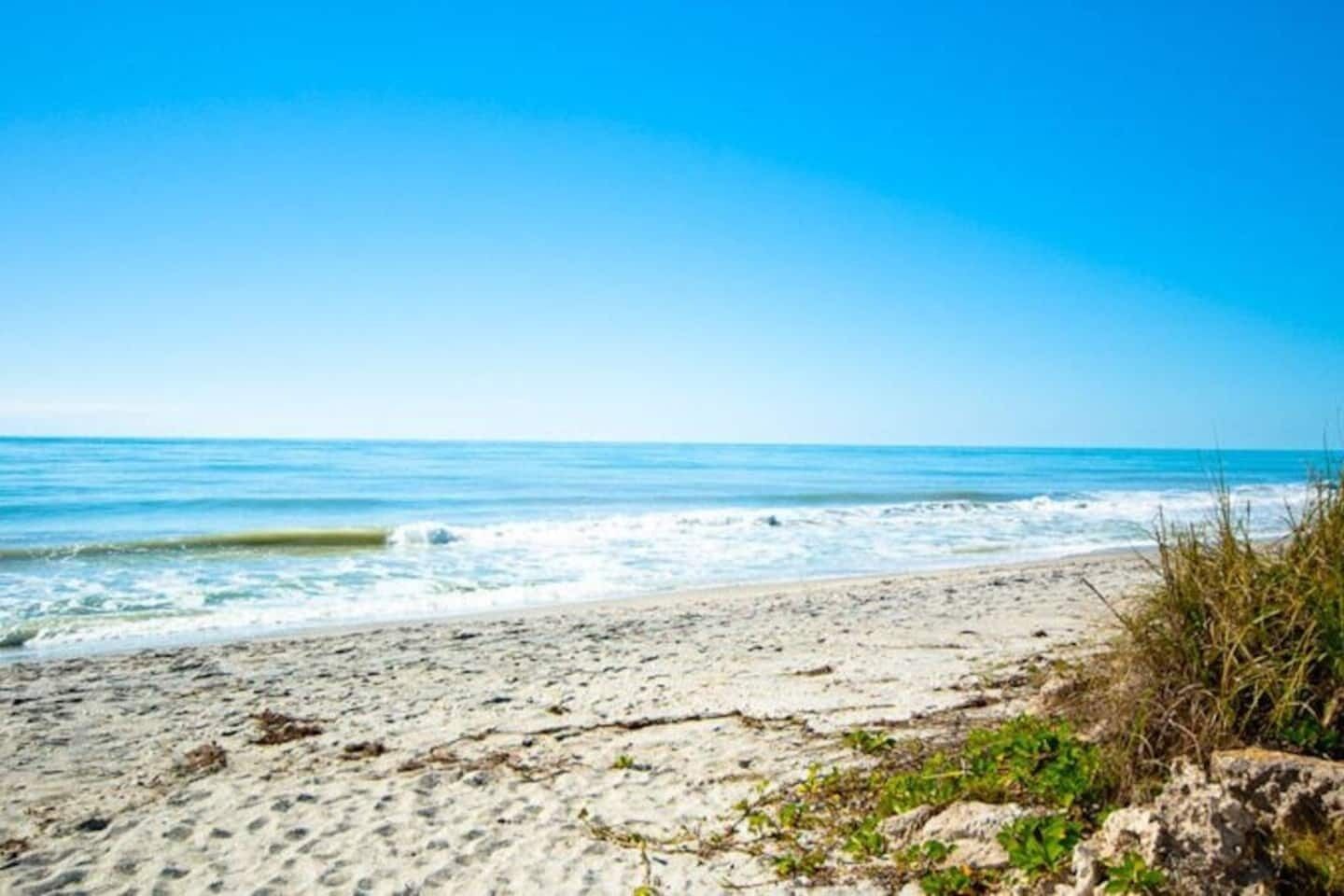 A sandy beach with waves, clear sky, and some vegetation.