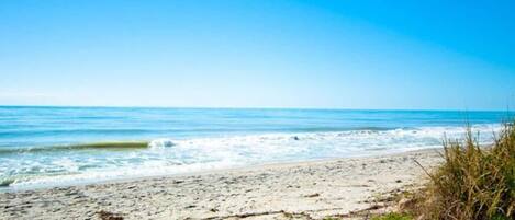 A sandy beach with waves, clear sky, and some vegetation.