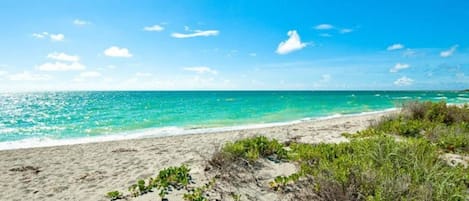 Vlak bij het strand