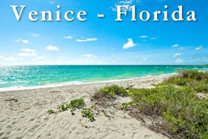 Une scène de plage avec une eau turquoise cristalline et un rivage sablonneux.