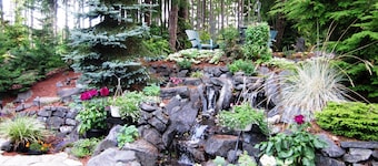 Large One-Story 4BD/2BA Home with Office, Covered Deck, Waterfall, and Nature