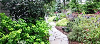 Large One-Story 4BD/2BA Home with Office, Covered Deck, Waterfall, and Nature