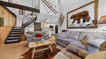 Télévision, cheminée, lecteur de DVD